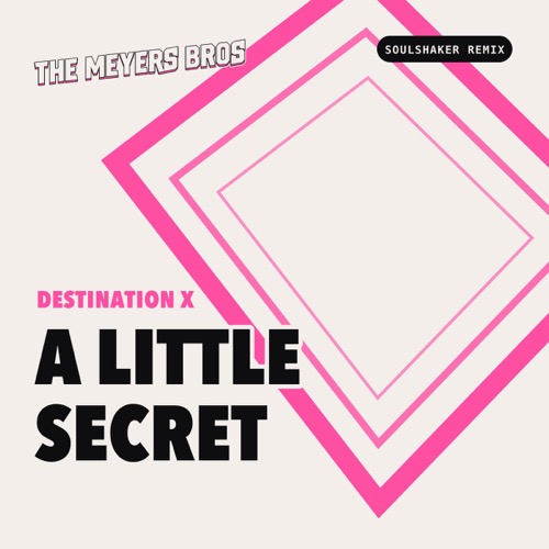 Sleeve: Destination X, A Little Secret