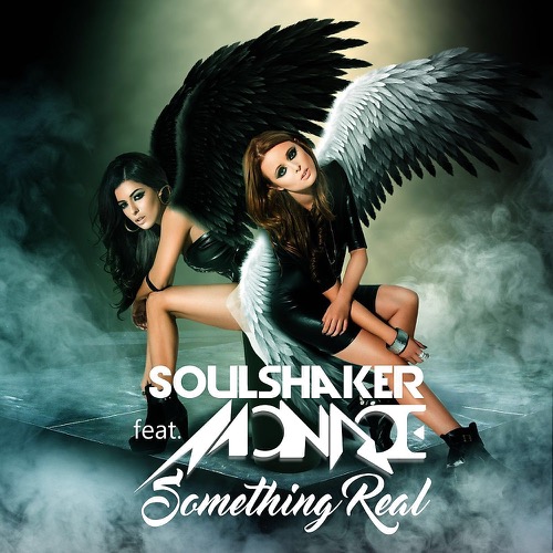 Sleeve: Soulshaker feat. Monroe, Something Real