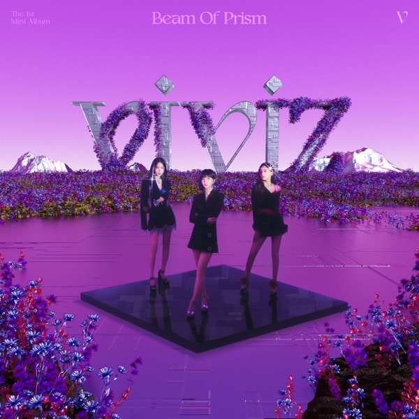 Sleeve: VIVIZ, Fiesta